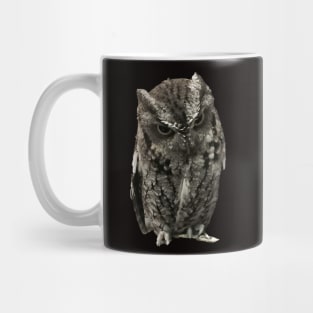 Disapproving Owl Close-up Pic Mug